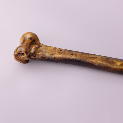 Ostrich Bones