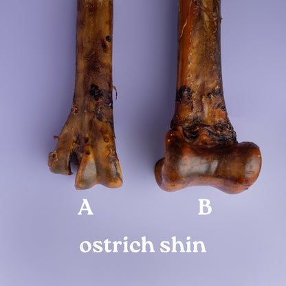 Two ostrich shins labeled A and B on a purple background
