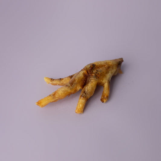 dehydrated chicken foot for dog, dog dental chew, dog chicken foot treat, crunchy chicken foot for dogs on purple background