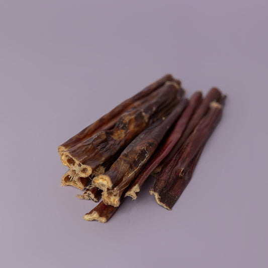 gullet stick chew for puppies and senior dogs, palatable chew for picky dog, quick treat for adult dog, single source dog chew on purple background