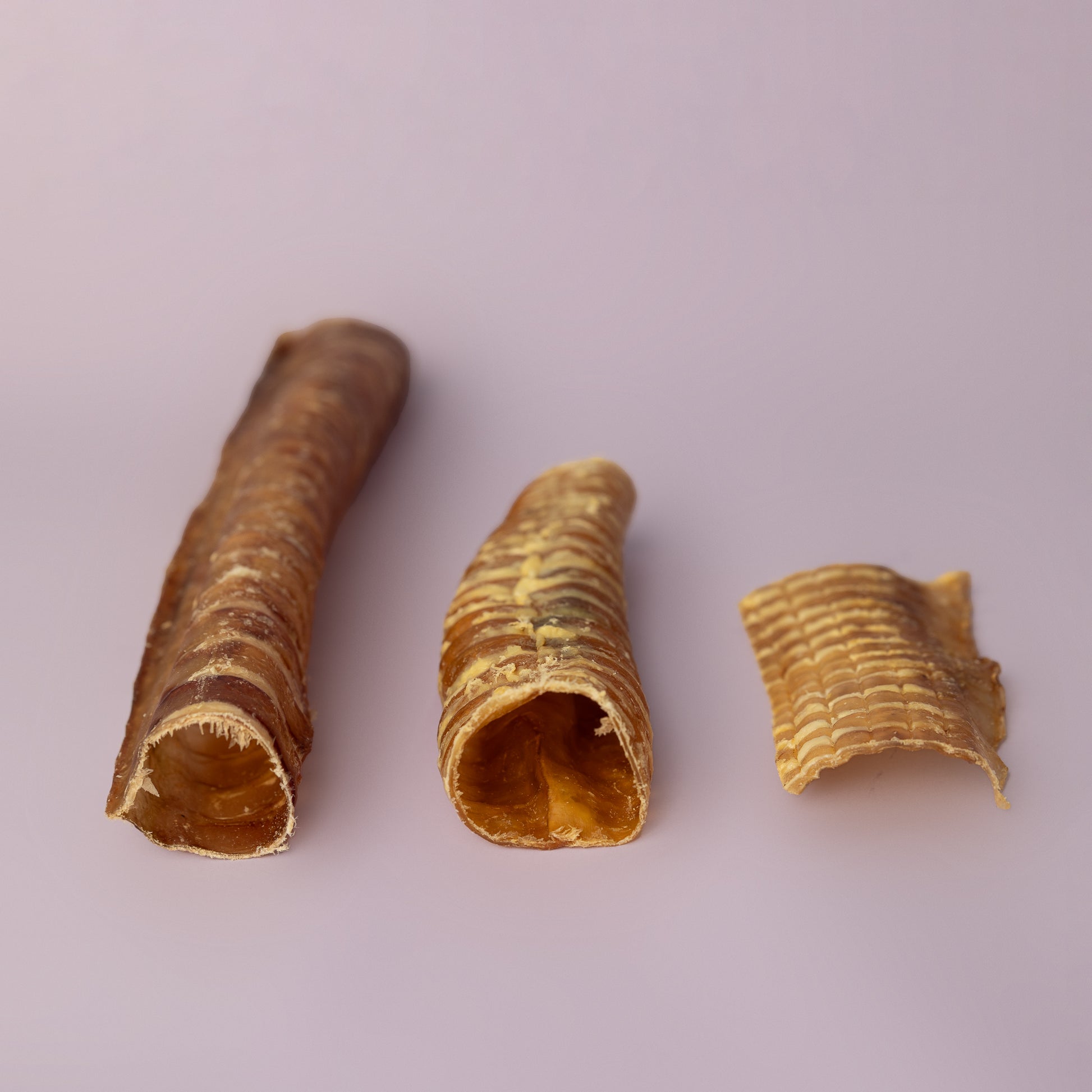 Beef trachea dog chews in different sizes - small, medium, large natural dog treats