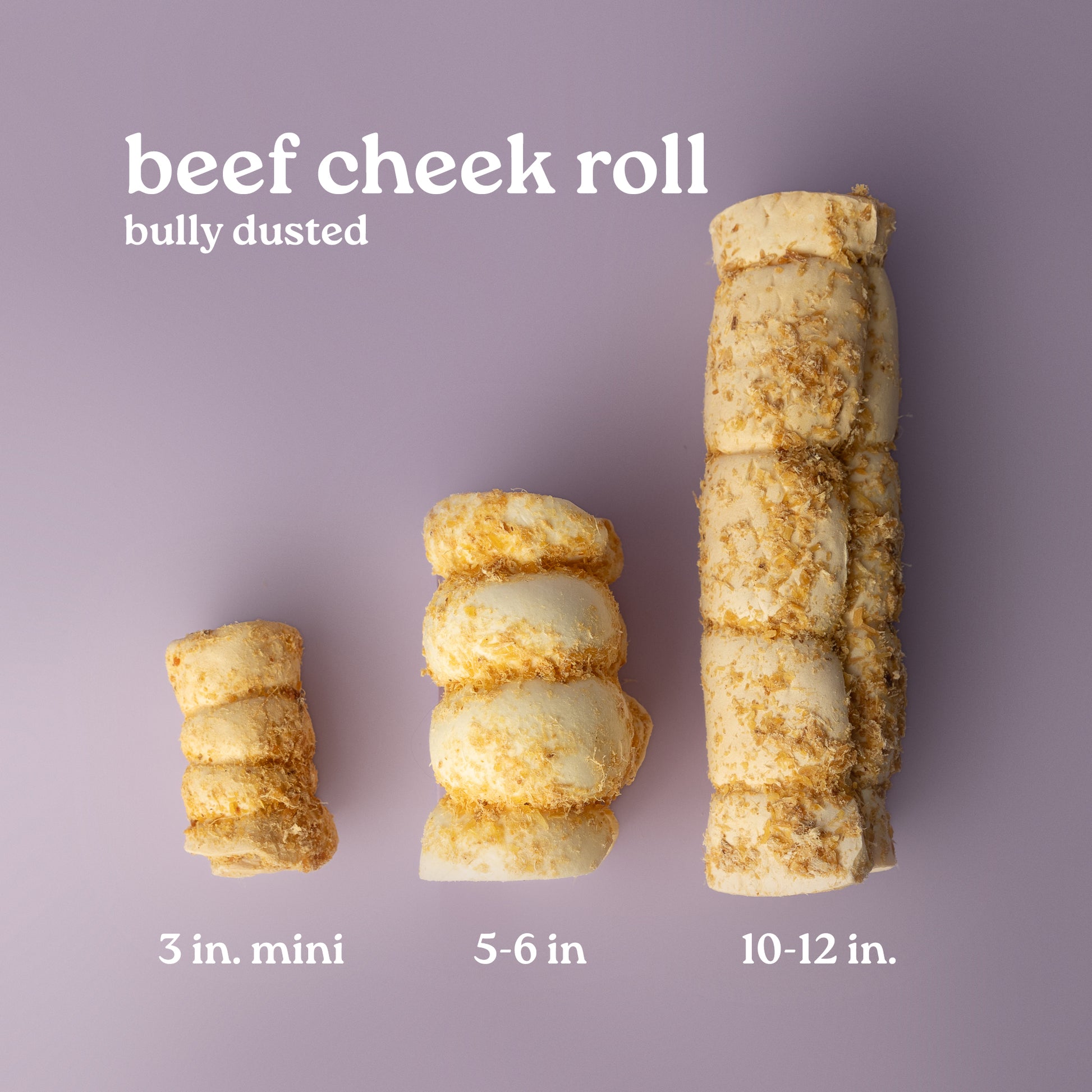 Three different sized beef cheek rolls, labeled as 3 in. mini, 5-6 in., and 10-12 in., displayed on a purple background. A bundle of rolled beef cheek dog chews, dusted with bully stick powder, against a purple background, rawhide alternative for dogs, beef cheek roll for dogs