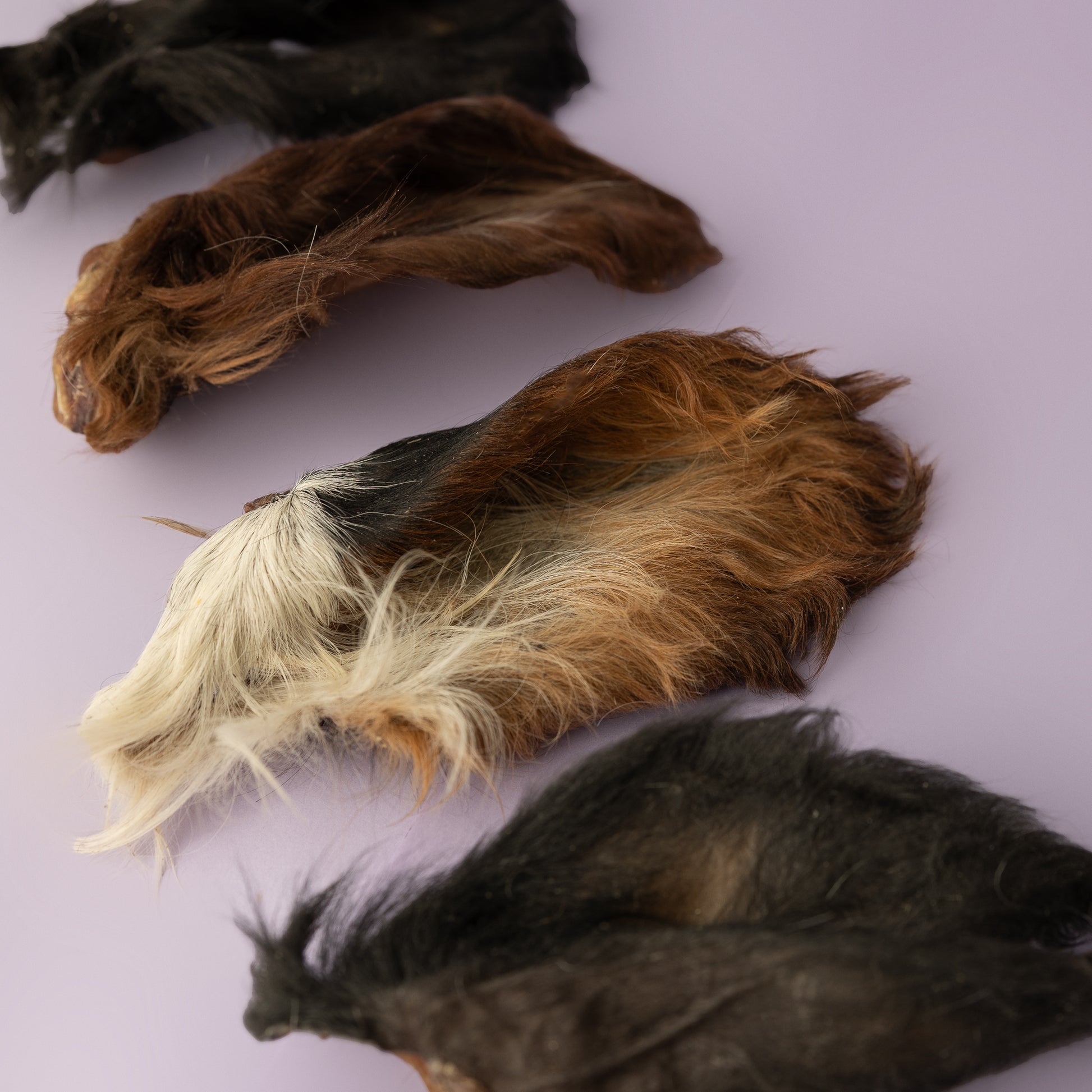 Dehydrated hairy cow ears for dogs, in various shades of brown and black, displayed on a purple background. Hairy dog chew, ugly dog chew alternative