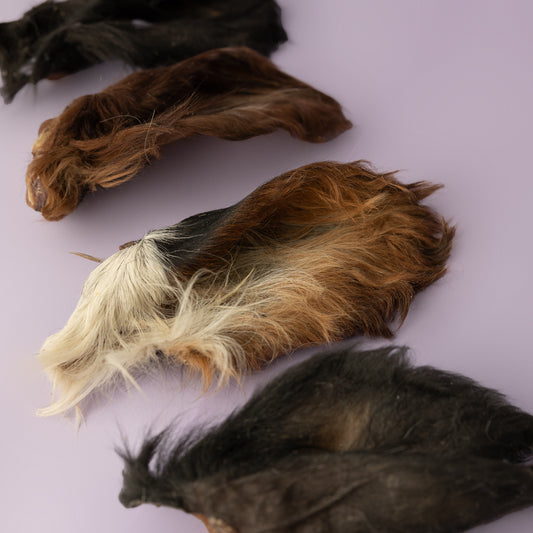 Dehydrated hairy cow ears for dogs, in various shades of brown and black, displayed on a purple background. Hairy dog chew, ugly dog chew alternative