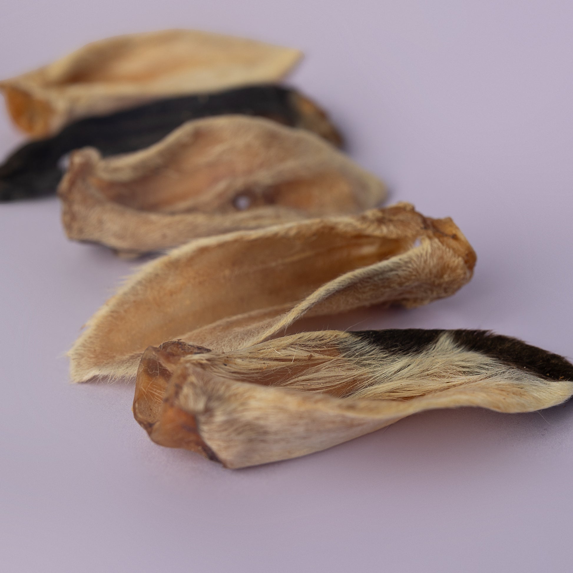 hairy goat ear chew for dogs, hairy dog treat, crunchy lamb ear for dogs