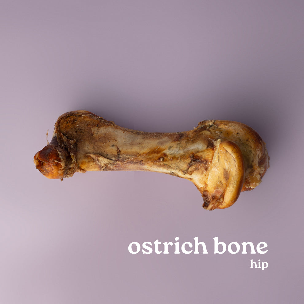 Ostrich Bones Power Chewer Dog Treats NonSplintering Natural Bones