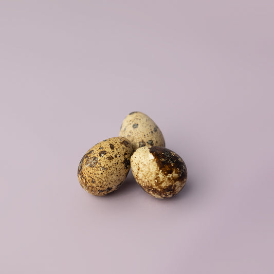 Whole dried quail egg dog treat - natural protein snack for small or large dogs