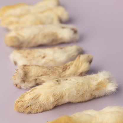 Natural rabbit foot dog chew - exotic protein treat for sensitive dogs