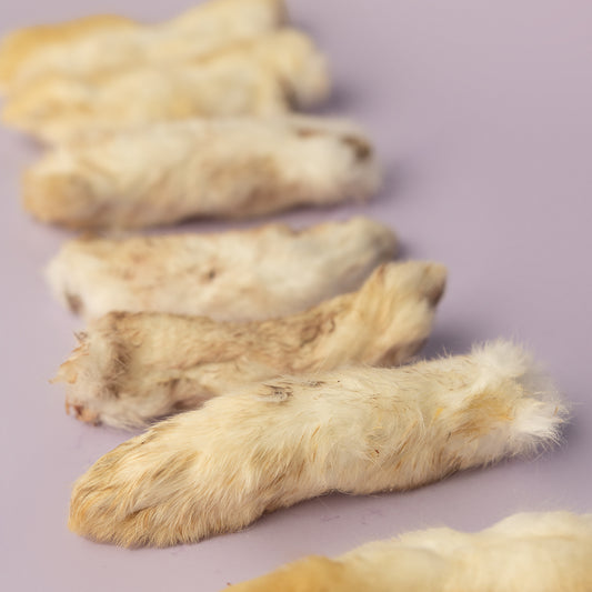 Natural rabbit foot dog chew - exotic protein treat for sensitive dogs