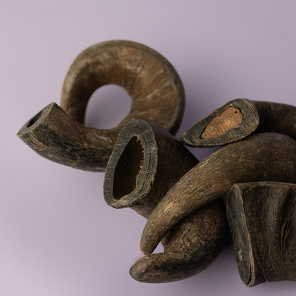 water buffalo horn for dogs, aggressive chew for dogs, power chew dog pitbull