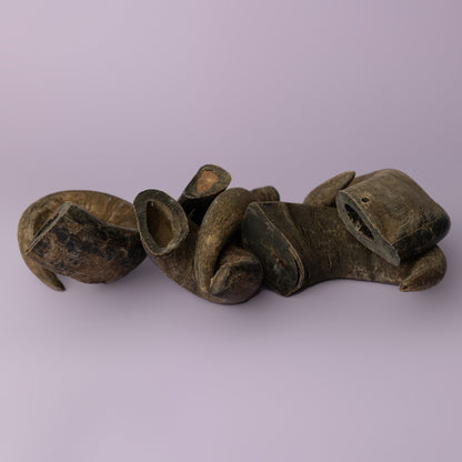 water buffalo horn for dogs provides aggressive chewers hours and years of use. Horn pictured on purple background