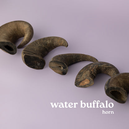 water buffalo horn for dogs provides aggressive chewers hours and years of use. Horn pictured on purple background