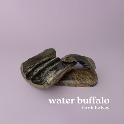 water buffalo horn for dogs provides aggressive chewers hours and years of use. Horn pictured on purple background
