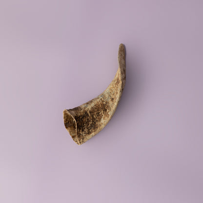 bully stick alternative, natural dog chew, horn chew for puppies, horn chew for senior dogs, palatable dog horn chew, keratin rich dog chew for teething puppies