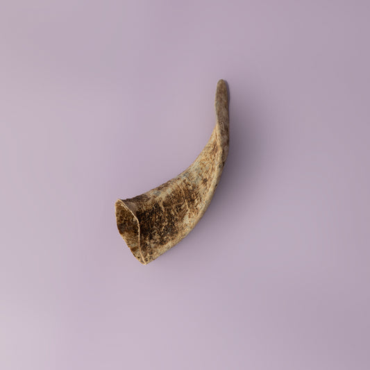bully stick alternative, natural dog chew, horn chew for puppies, horn chew for senior dogs, palatable dog horn chew, keratin rich dog chew for teething puppies